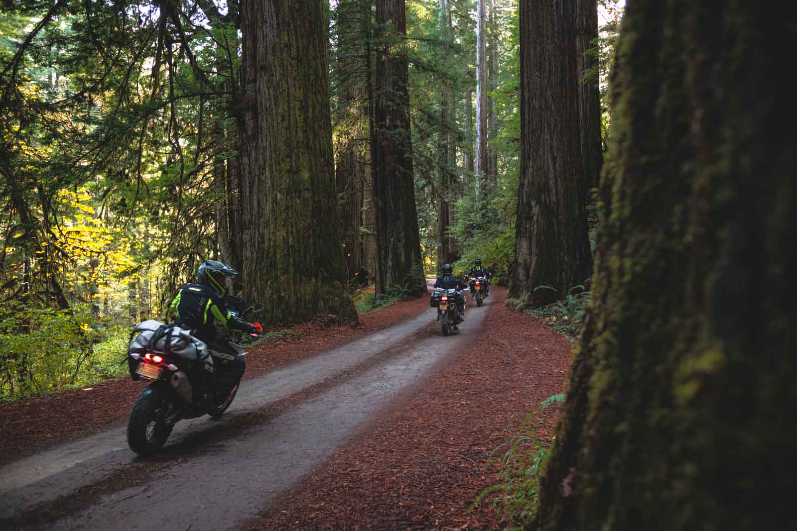 Best of The Southwest Oregon Adventure Motorcycle Tour