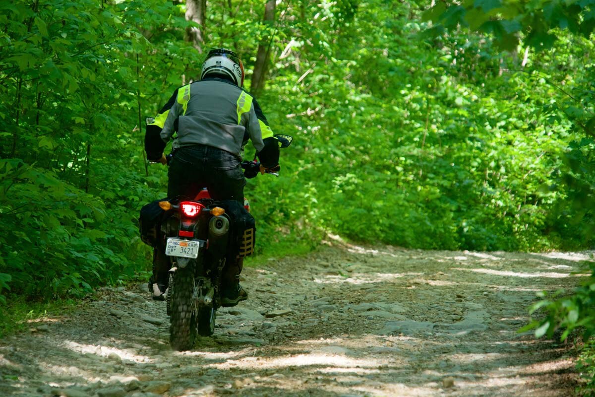 crf300l-downhill-1