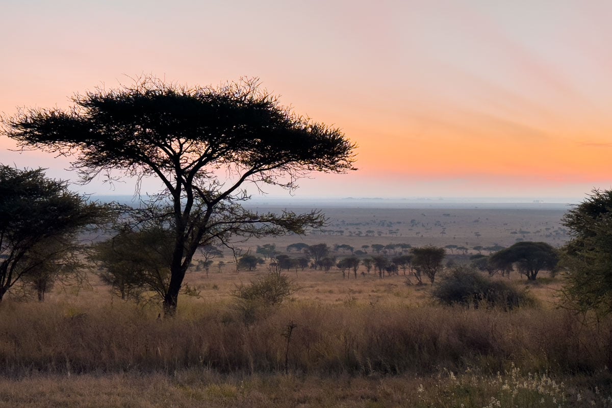 endless-plains-serengeti-sunset-tanzania-africa