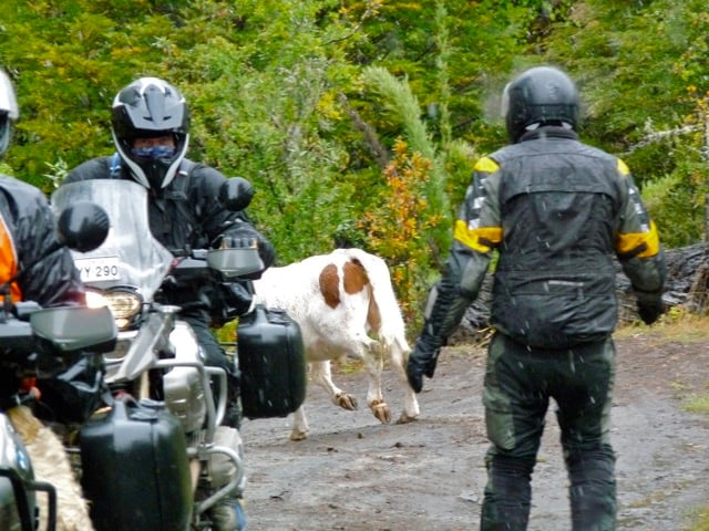 Rain_in_Patagonia