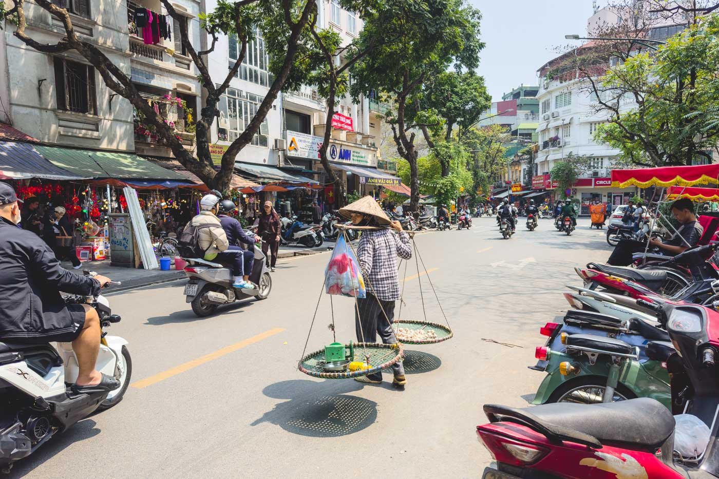 local-vietnamese-lady-carrying-baskets