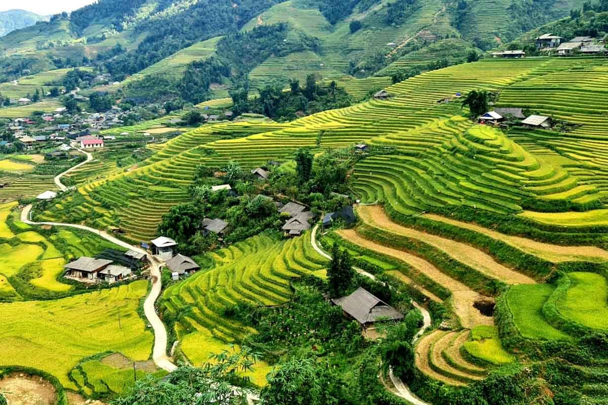 local-village-and-terrace-rice-fields