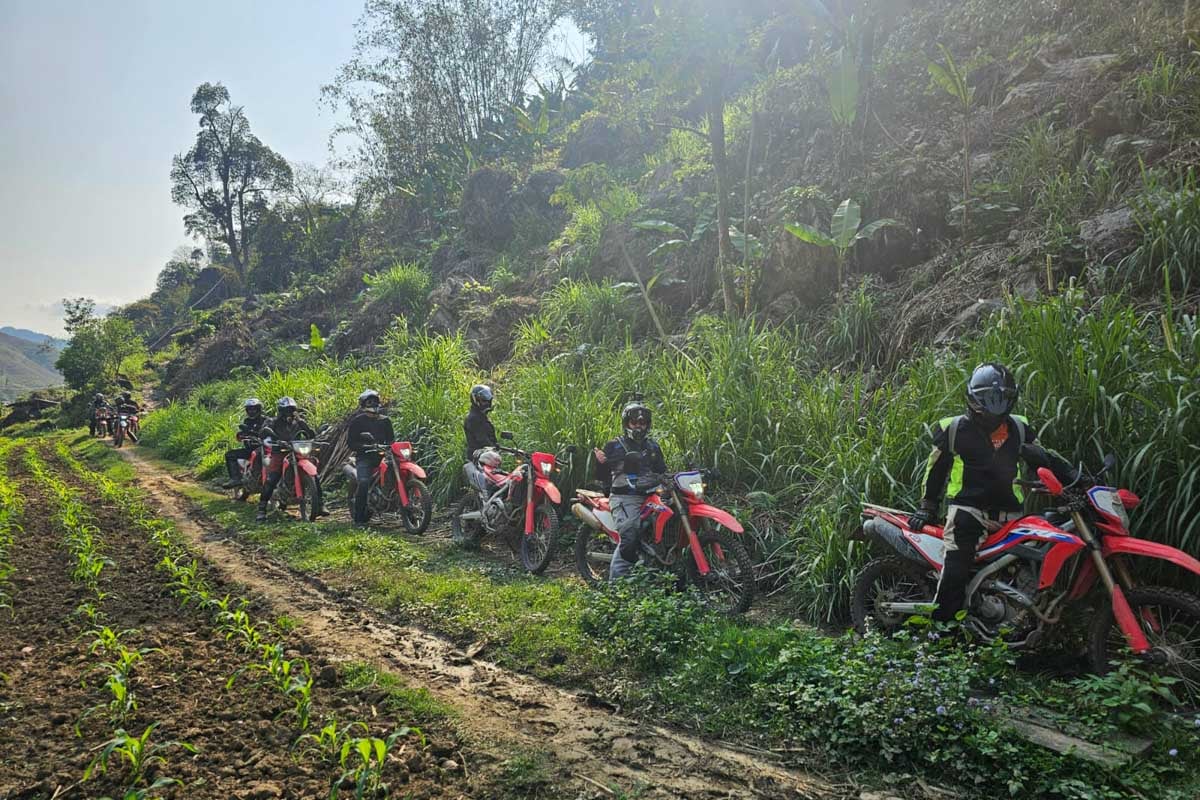 riders-along-rice-fields-vietnam