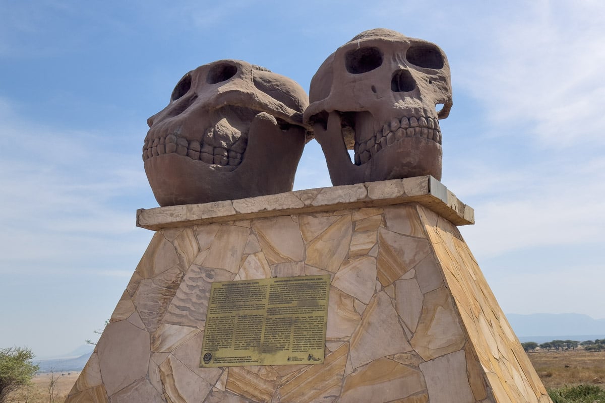 skulls-from-ancient-humans-tanzania-africa